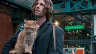 「ボブという名の猫 幸せのハイタッチ」を観た際の感想と映画中で使われたイギリス英語を紹介