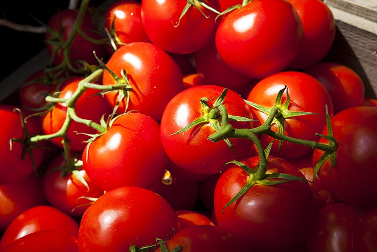 tomatoのスラングの言い方、「トマト」はtomato以外に違う言い方がある